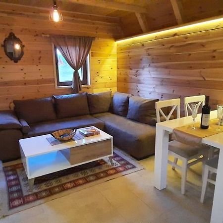 הוילה זבליאק Mountain House Bjanka מראה חיצוני תמונה